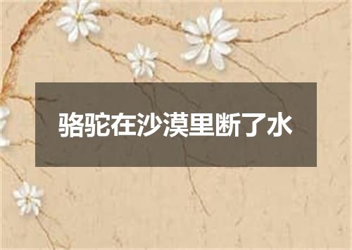 骆驼在沙漠里断了水