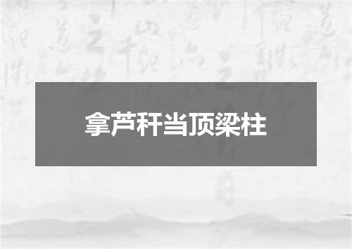 拿芦秆当顶梁柱
