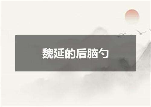 魏延的后脑勺