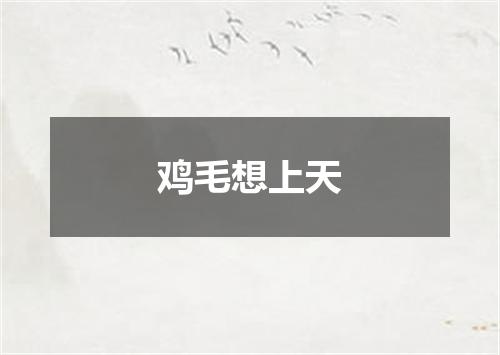 鸡毛想上天