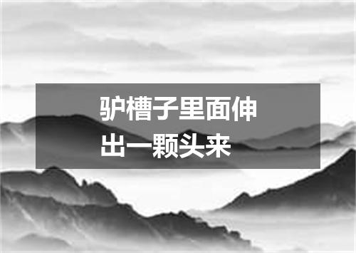 驴槽子里面伸出一颗头来