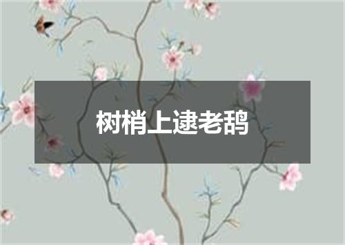 树梢上逮老鸹