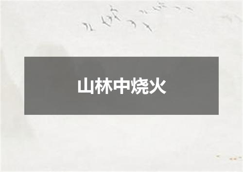 山林中烧火