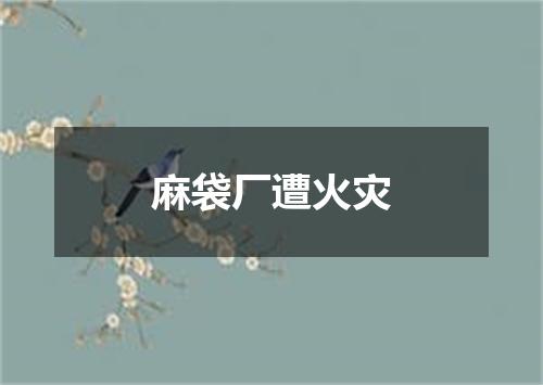 麻袋厂遭火灾