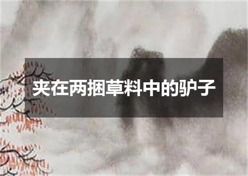 夹在两捆草料中的驴子