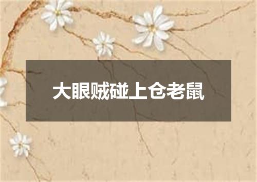 大眼贼碰上仓老鼠