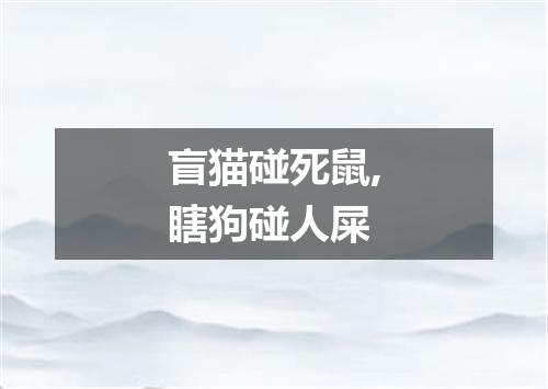 盲猫碰死鼠,瞎狗碰人屎