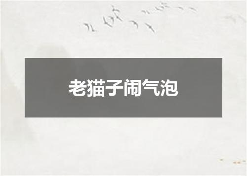 老猫子闹气泡