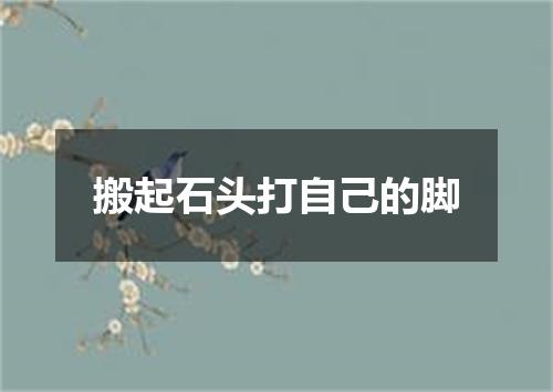 搬起石头打自己的脚