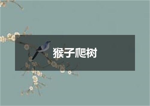 猴子爬树