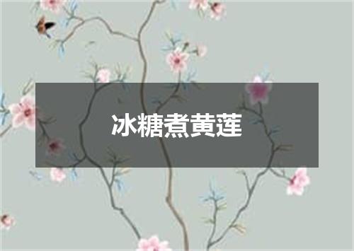 冰糖煮黄莲