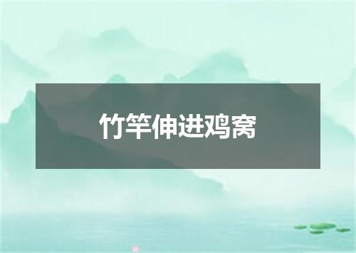竹竿伸进鸡窝