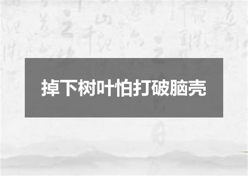 掉下树叶怕打破脑壳