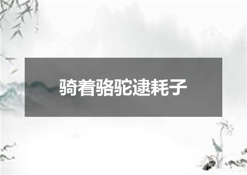 骑着骆驼逮耗子