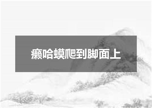 癞哈蟆爬到脚面上