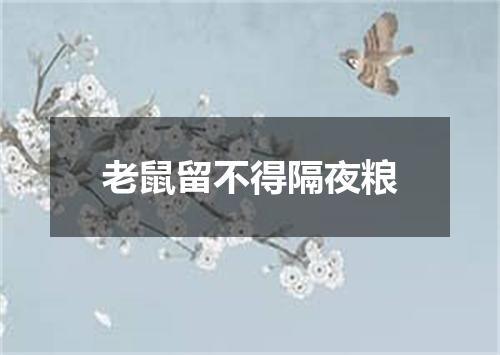 老鼠留不得隔夜粮