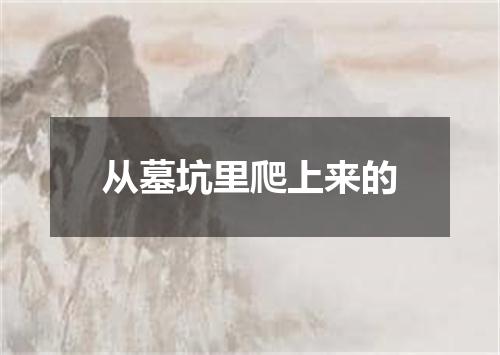 从墓坑里爬上来的