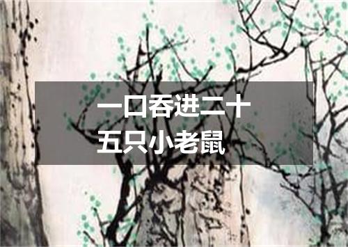 一口吞进二十五只小老鼠