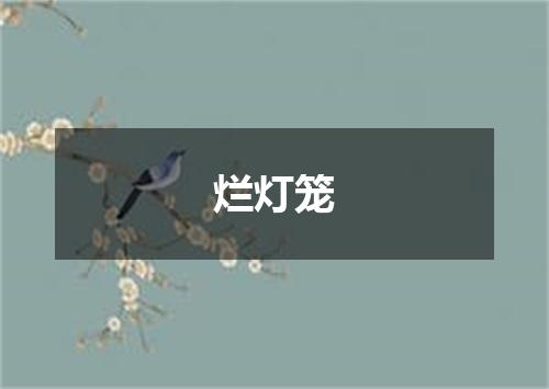 烂灯笼