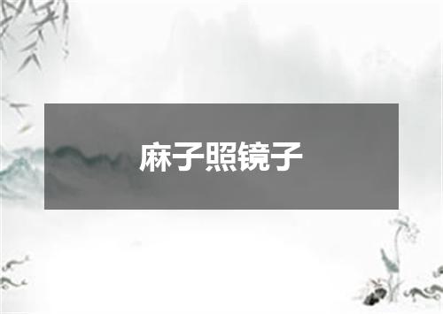 麻子照镜子