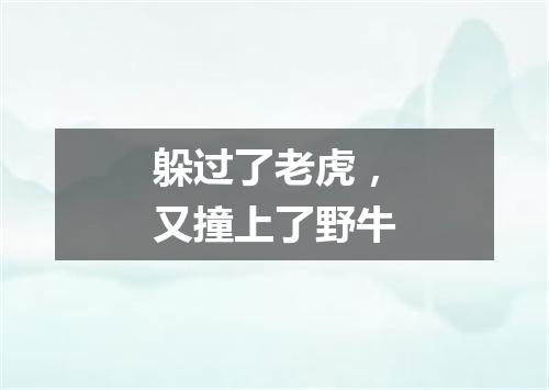 躲过了老虎，又撞上了野牛