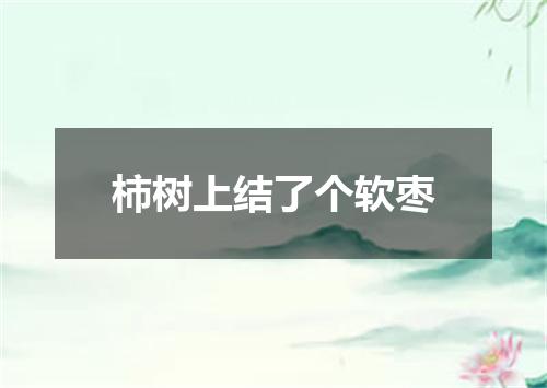 柿树上结了个软枣