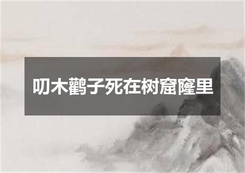 叨木鹳子死在树窟窿里