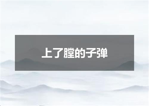 上了膛的子弹