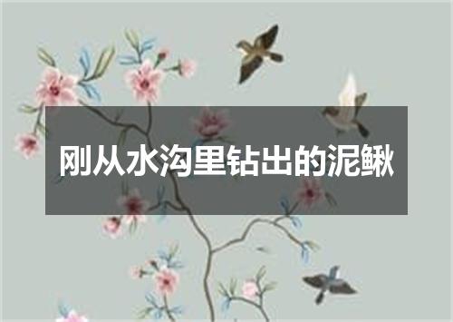 刚从水沟里钻出的泥鳅