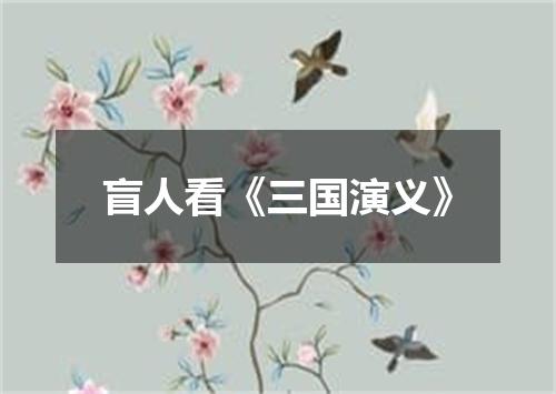 盲人看《三国演义》