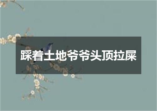 踩着土地爷爷头顶拉屎