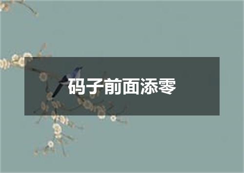 码子前面添零