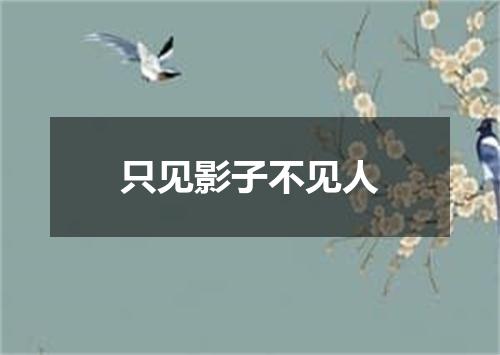 只见影子不见人