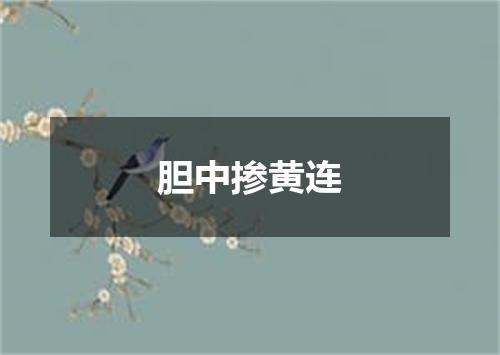 胆中掺黄连