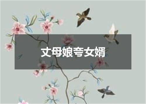 丈母娘夸女婿