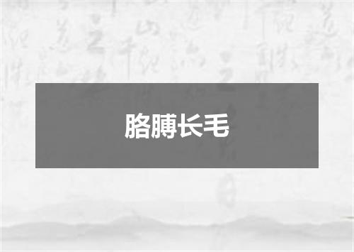 胳膊长毛