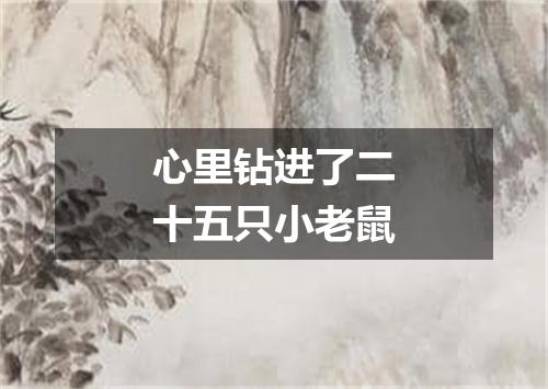 心里钻进了二十五只小老鼠