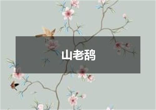 山老鸹