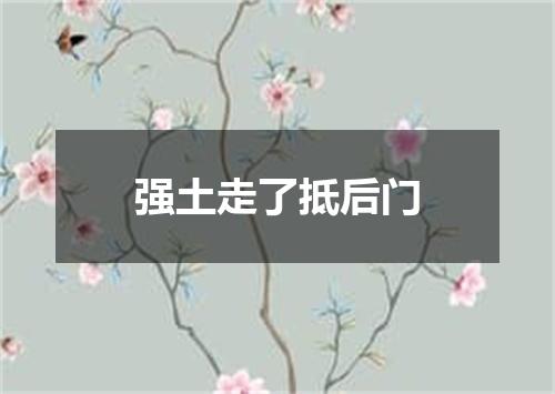 强土走了抵后门