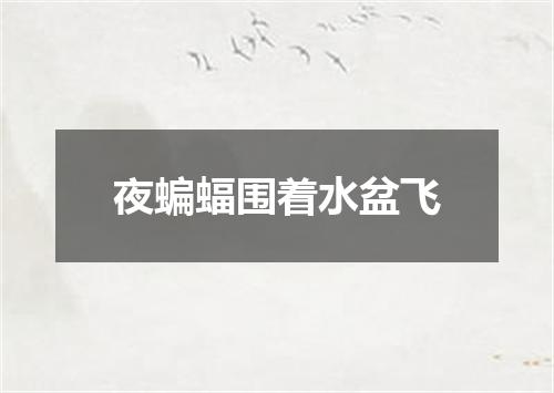 夜蝙蝠围着水盆飞