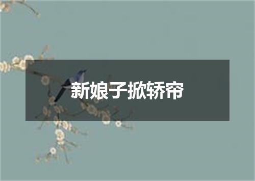 新娘子掀轿帘