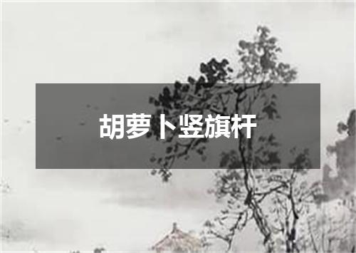 胡萝卜竖旗杆