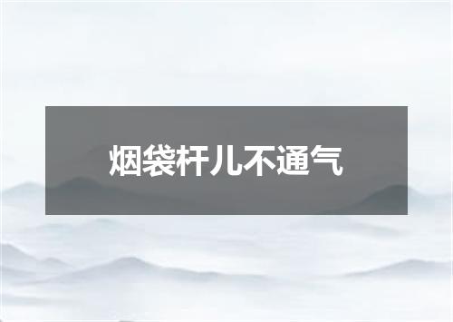 烟袋杆儿不通气