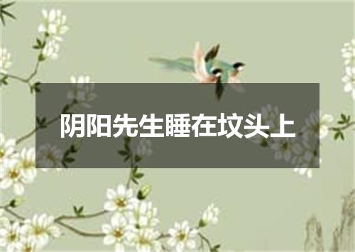 阴阳先生睡在坟头上