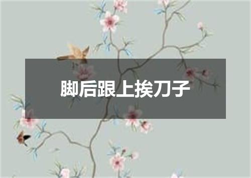 脚后跟上挨刀子