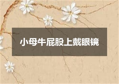 小母牛屁股上戴眼镜