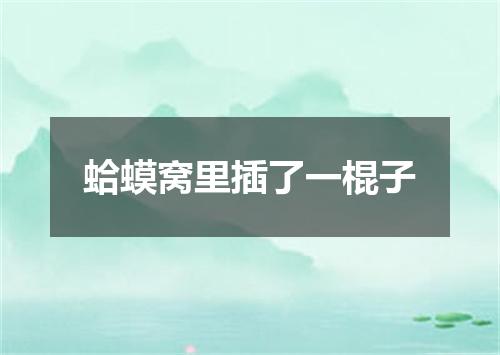 蛤蟆窝里插了一棍子
