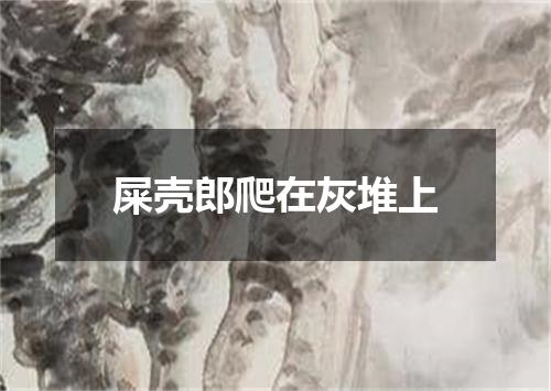 屎壳郎爬在灰堆上