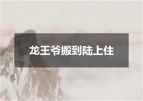 龙王爷搬到陆上住