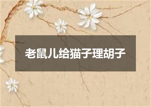 老鼠儿给猫子理胡子